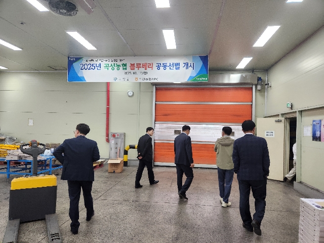 곡성농협 농산물 공동선별 작업 선진지 견학 대표 이미지