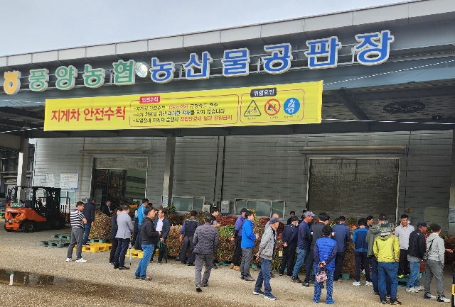 풋마늘 공판장 운영 현장 대표 이미지
