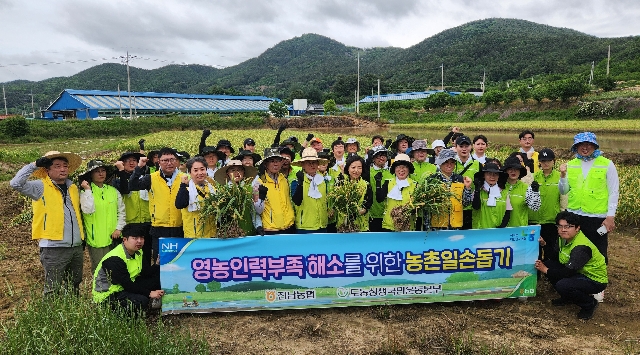 영농인력부족해소를 위한 농촌일손돕기 대표 이미지