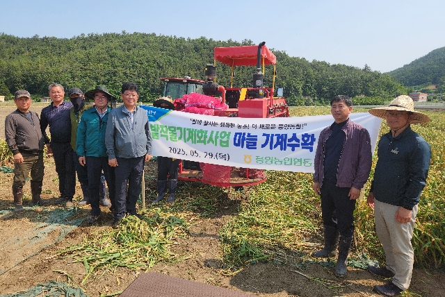 밭작물기계화사업 마늘 기계수확 연시회 대표 이미지